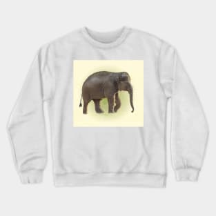 Baby elephant Crewneck Sweatshirt